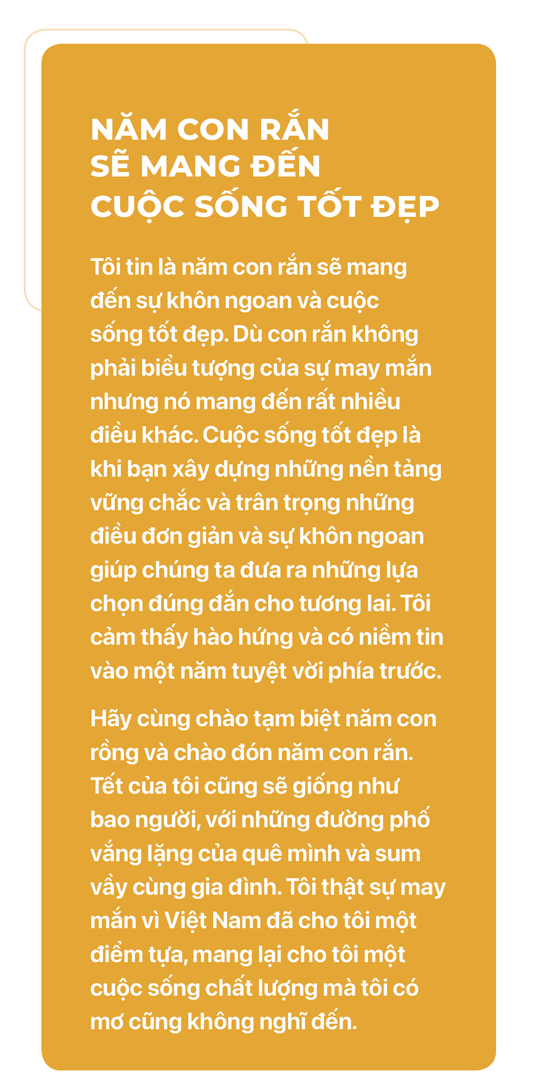 Ăn Tết ở TP.HCM tròn 12 con giáp - Ảnh 11.