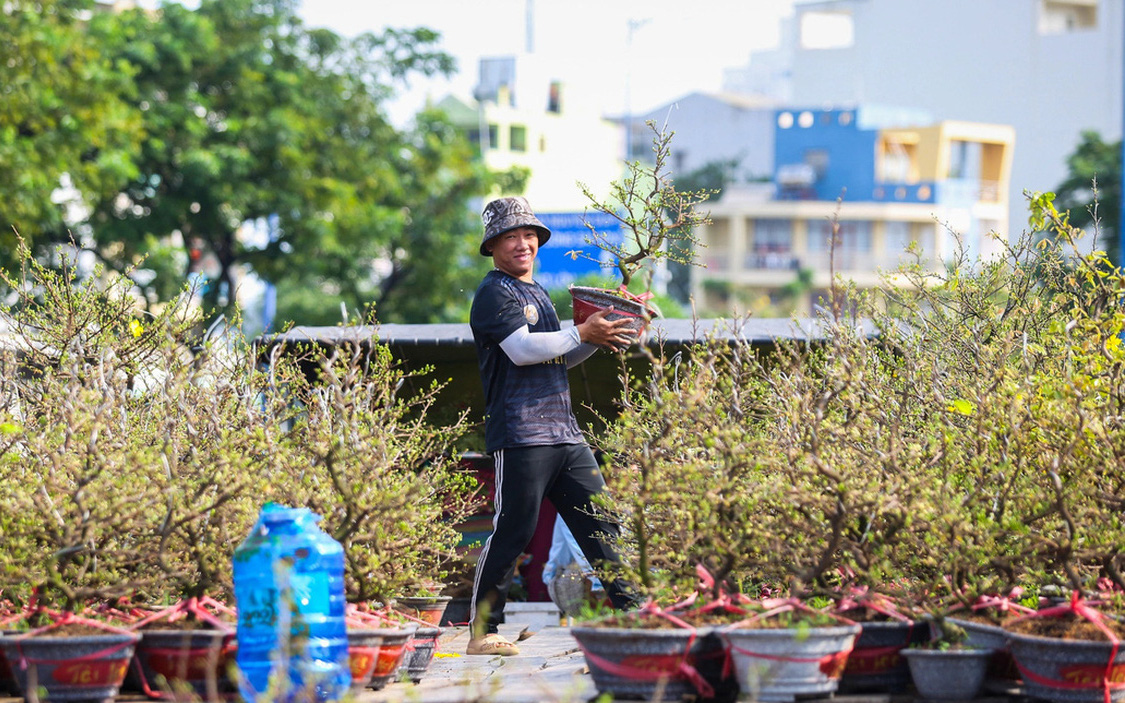 Hoa miền Tây 'bay' đi muôn ngả - Ảnh 2.