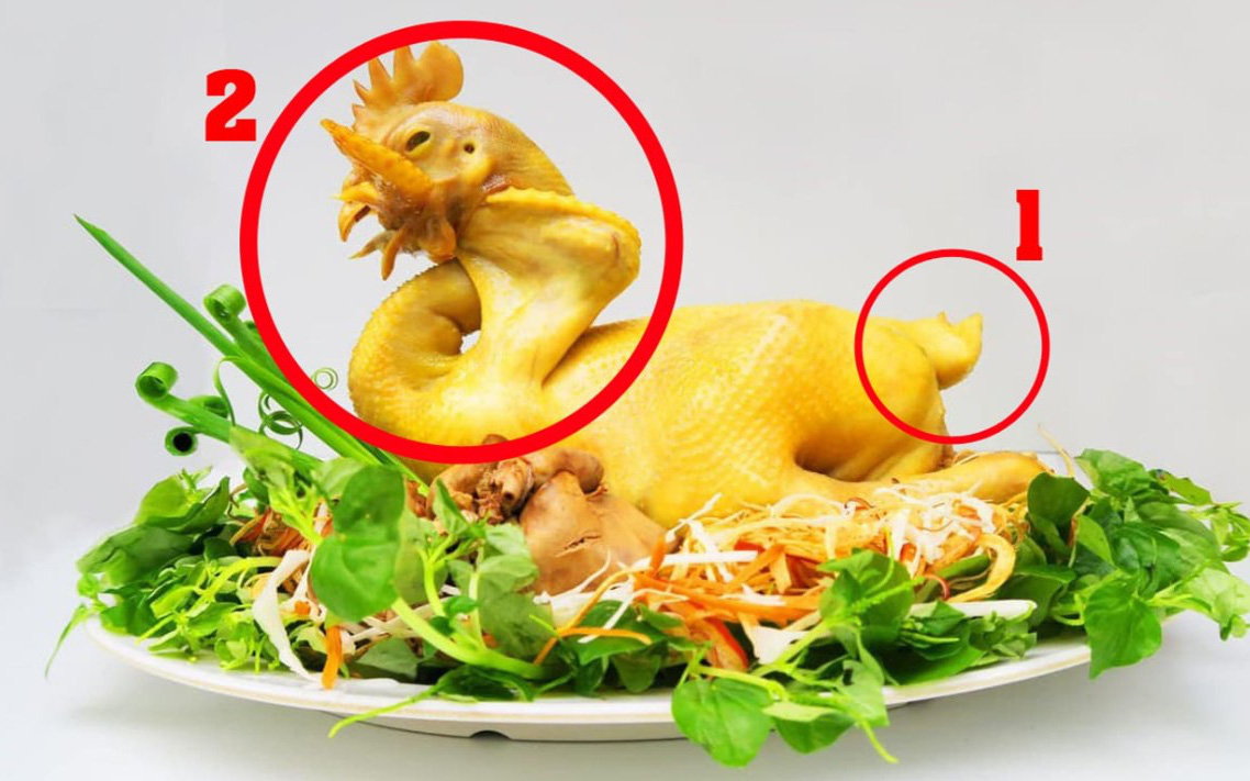 Câu thành ngữ gì liên quan đến chó và ma - Ảnh 4.