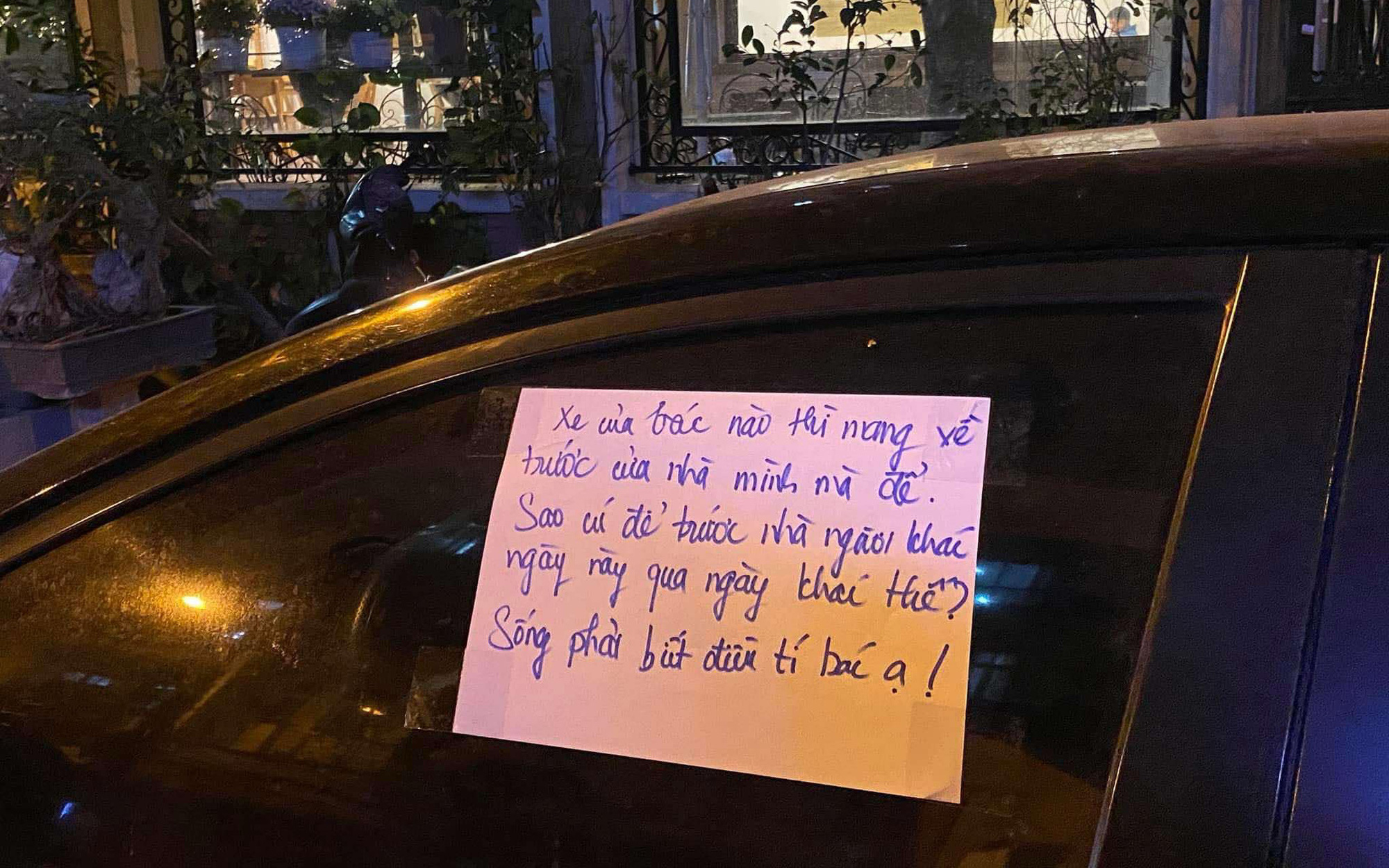 Cô gái có khả năng đội cả... con bò trên đầu - Ảnh 14.