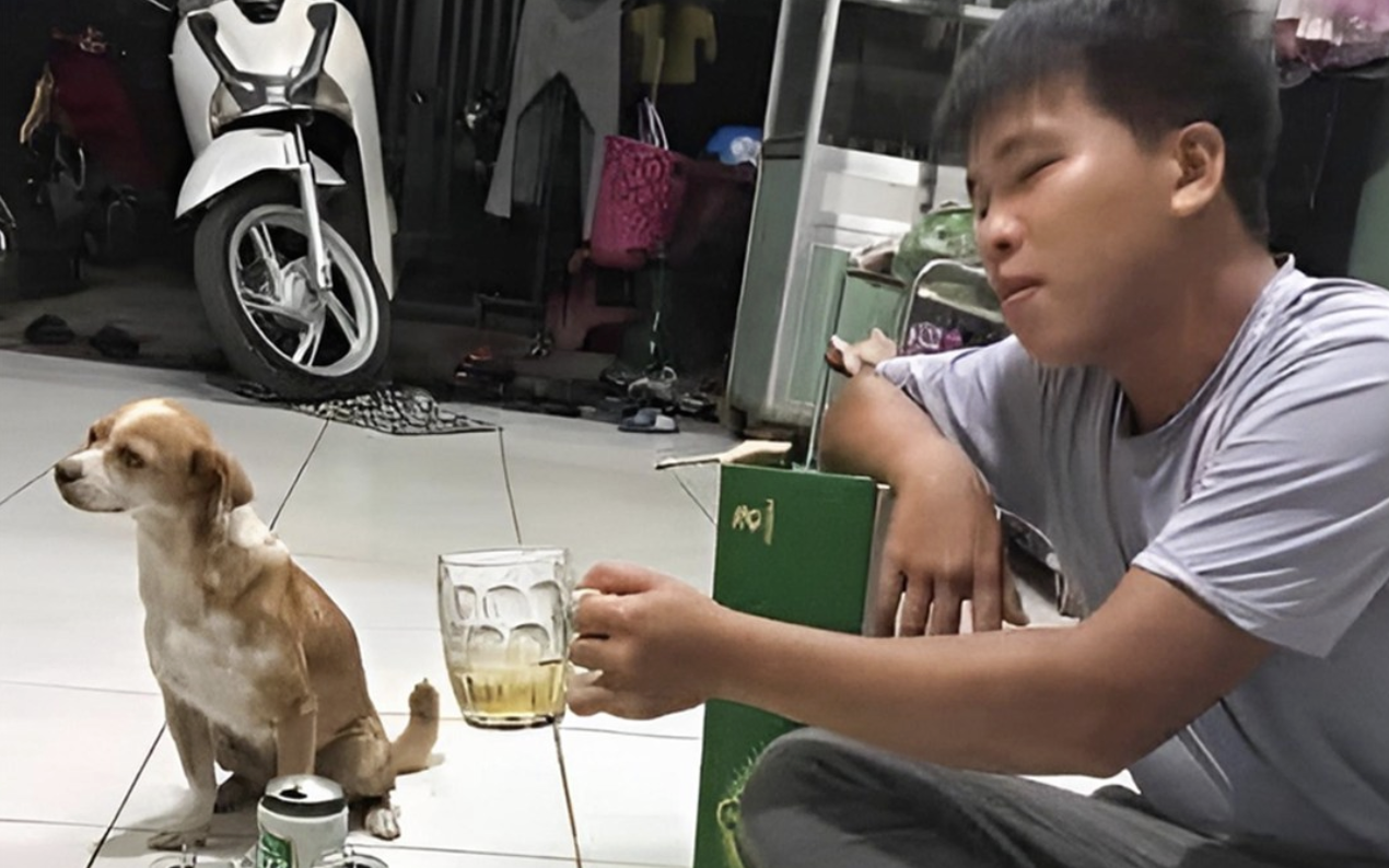 Cô gái có khả năng đội cả... con bò trên đầu - Ảnh 13.