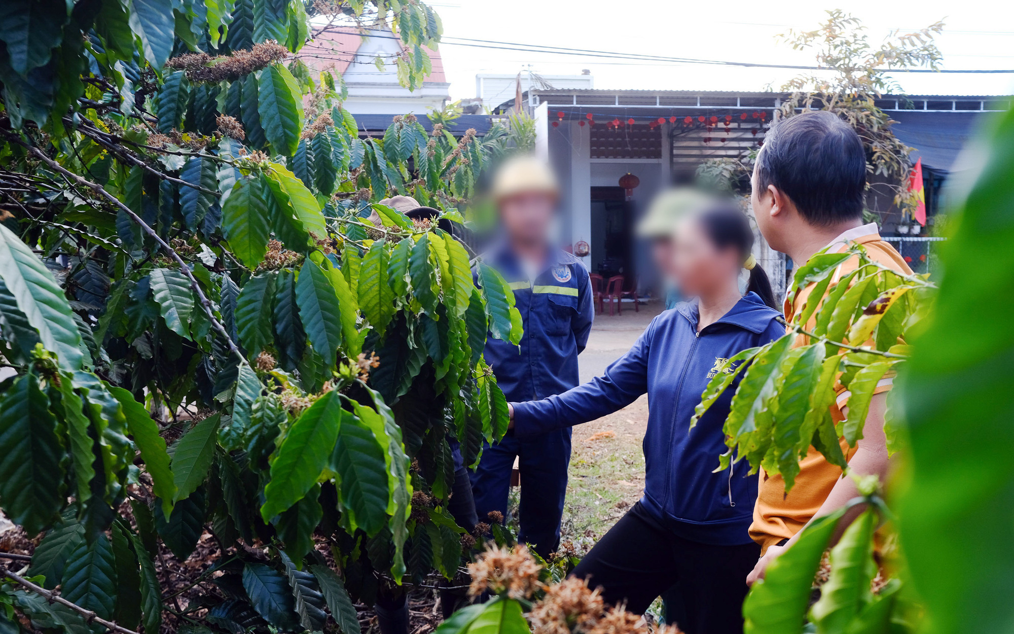 Vụ đóng bảo hiểm xã hội bằng cà phê: Họp lấy ý kiến người lao động - Ảnh 2.