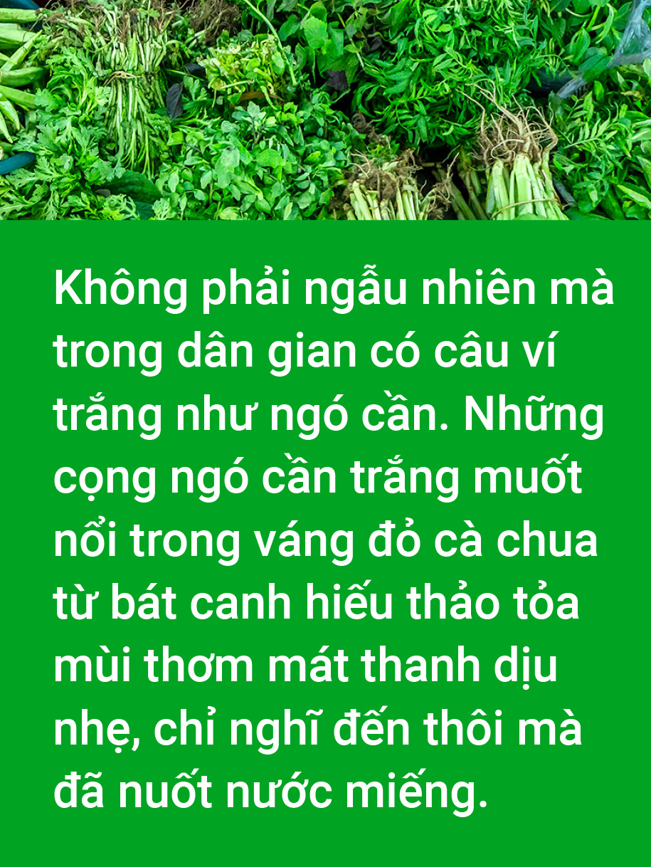 Mùa xuân ăn rau lành - Ảnh 7.