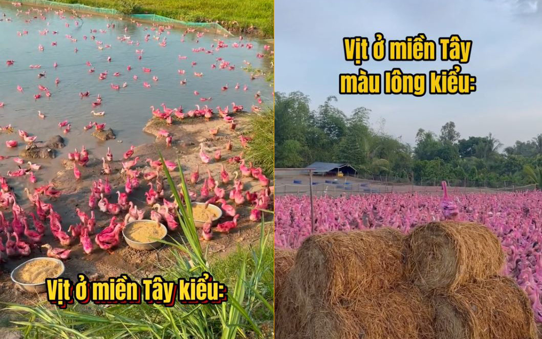 Bác sĩ thành lực sĩ sau khi giảm 24 kg trong 42 ngày - Ảnh 5.