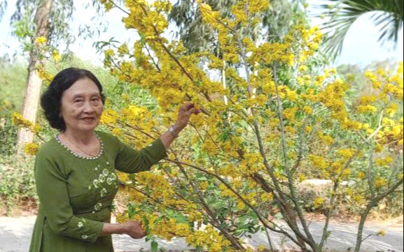 Cửa sổ mùa xuân - Ảnh 3.