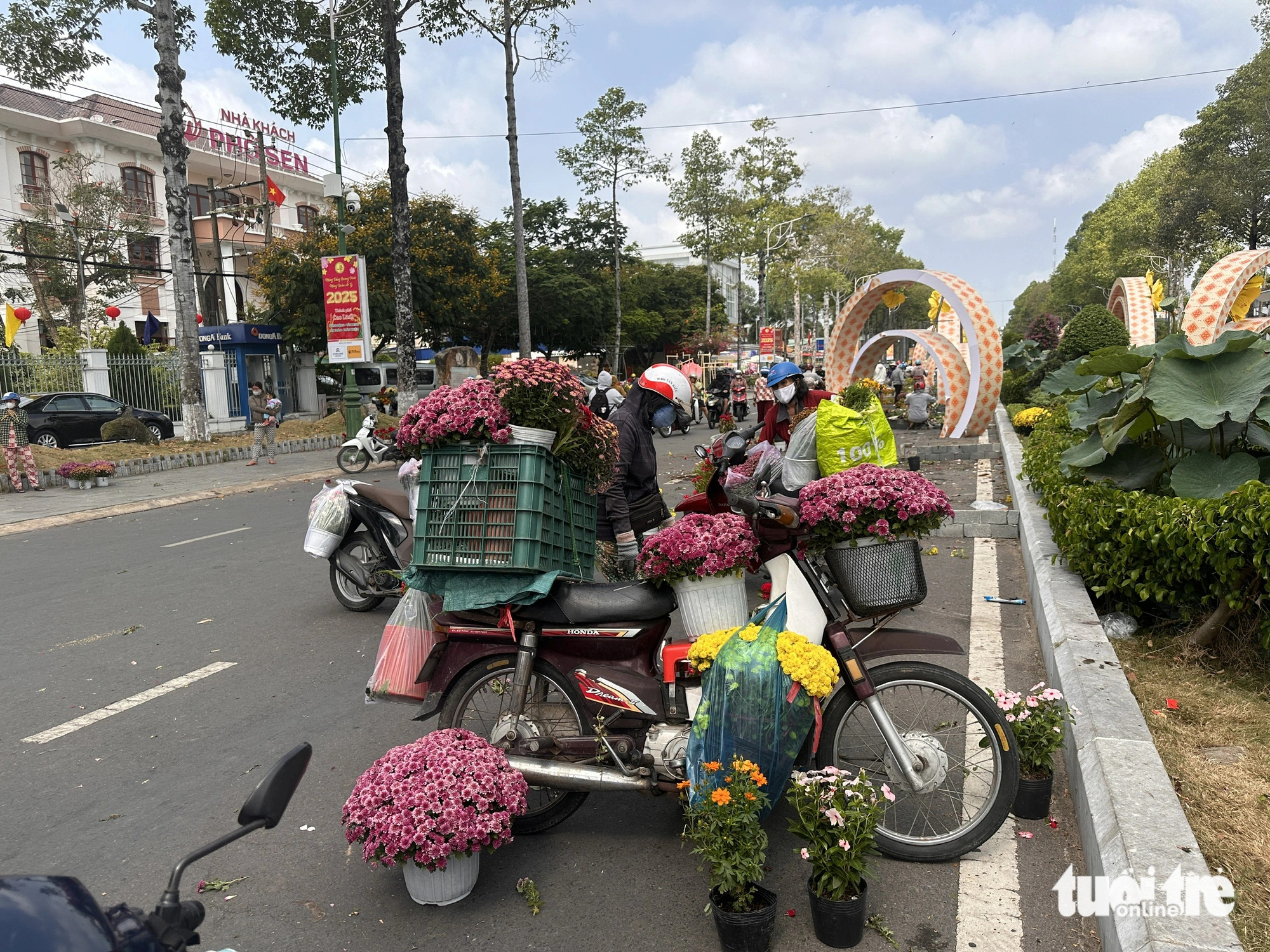 Hàng trăm người mang hoa về nhà trong ngày tháo dỡ Đường hoa xuân Cao Lãnh   - Ảnh 1.