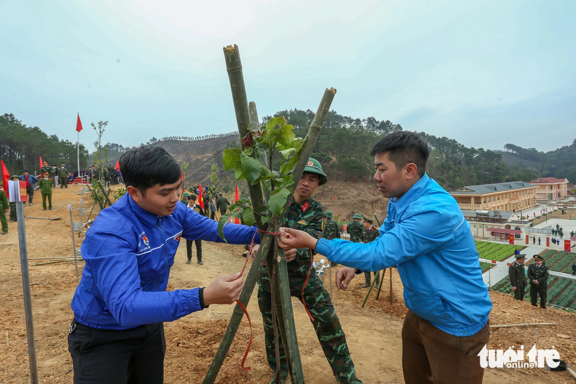 Chủ tịch nước Lương Cường: trồng cây bản địa, có khả năng chống chịu với biến đổi khí hậu - Ảnh 6.