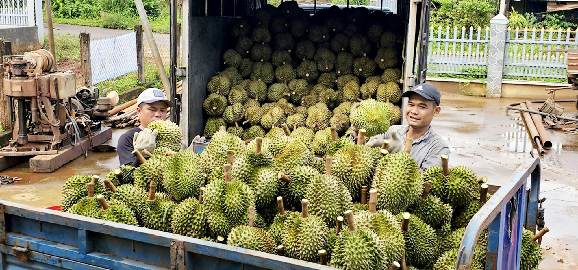 Nông sản Việt hứa hẹn tiếp tục rộng đường sang Trung Quốc - Ảnh 3.