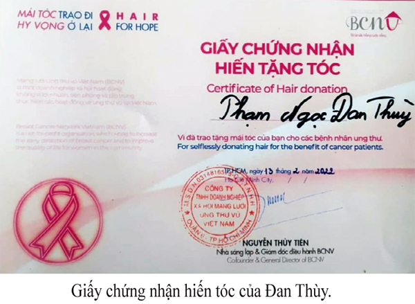 Tiêu chuẩn hiến tóc vì bệnh nhân ung thư  BCNV  Mạng lưới ung thư vú Việt  Nam