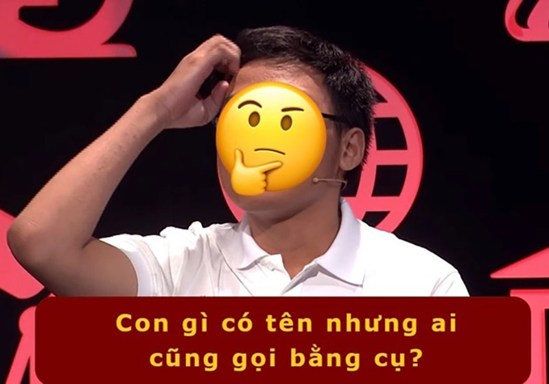Đố vui 15-11: Vì sao gọi ngã tư mà không phải ngã bốn? - Ảnh 5. Đố vui 15-11: Vì sao gọi ngã tư mà không phải ngã bốn? - Ảnh 5.