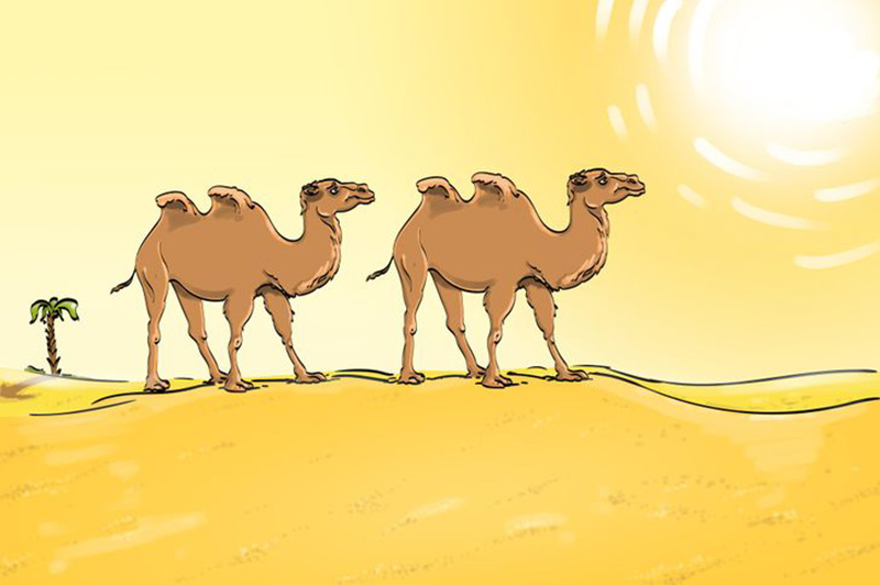 Điểm vô lý trong tranh lạc đà đi trên sa mạc là gì? - Ảnh 1.