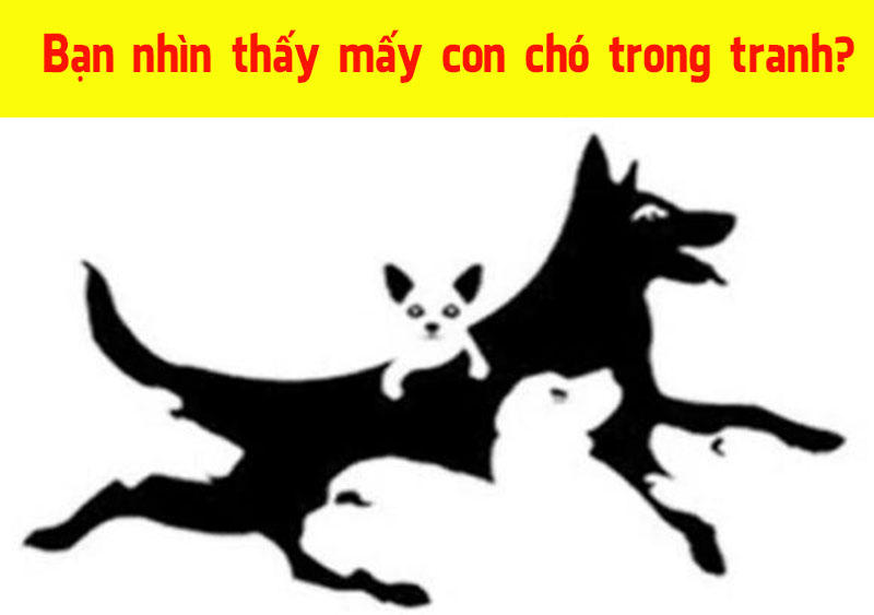 Số con vật nhìn thấy tiết lộ độ tuổi tâm hồn của bạn - Ảnh 1. Số con vật nhìn thấy tiết lộ độ tuổi tâm hồn của bạn - Ảnh 1.