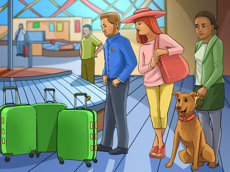 Hãy giúp ba vị khách nhận đúng vali của họ - Ảnh 1.