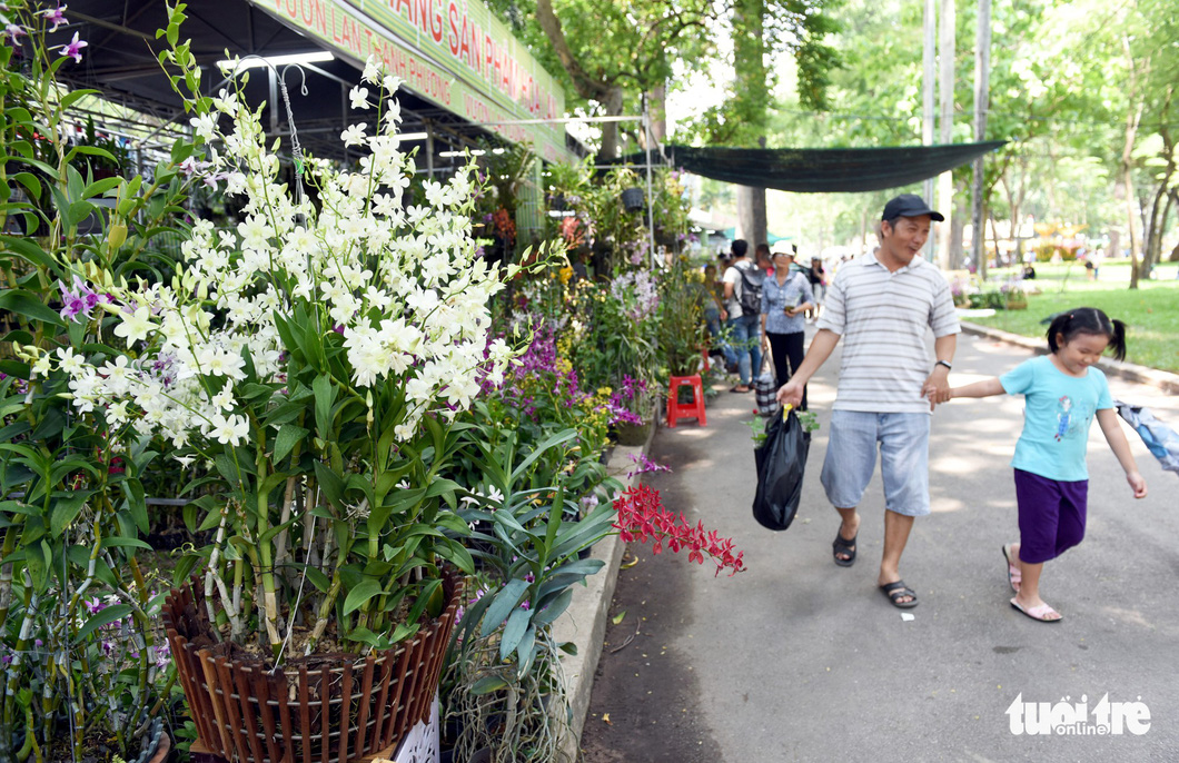 Check-in công viên Tao Đàn ngắm hoa lan trong Sắc màu nhiệt đới - Ảnh 7.