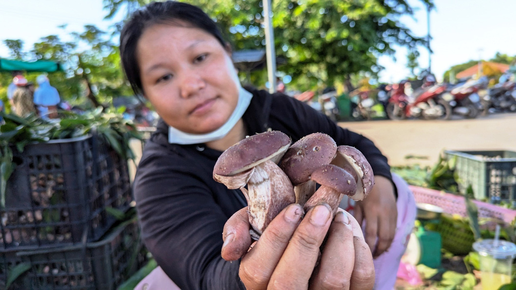 Chị Ngọc Mai (tiểu thương tại chợ nấm tràm) nhẩm tính xong vụ nấm này có khi chị kiếm lời hơn 15 triệu đồng - Ảnh: NHẬT LINH