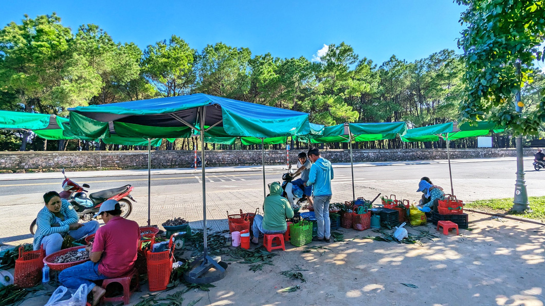 Một góc khu chợ bán "lộc trời" - nấm tràm cạnh đàn Nam Giao (TP Huế) - Ảnh: NHẬT LINH