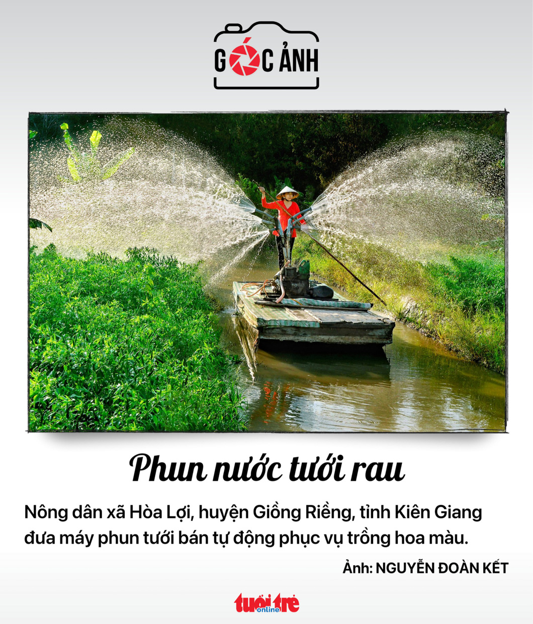 Phun nước tưới rau ở Giồng Riềng - Ảnh: NGUYỄN ĐOÀN KẾT