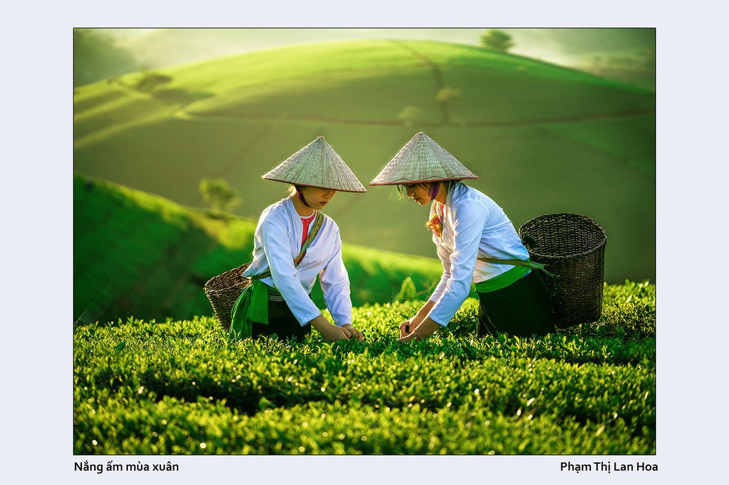 Chiêm ngưỡng sắc màu quê hương qua ống kính nhiếp ảnh nữ - Ảnh 8.