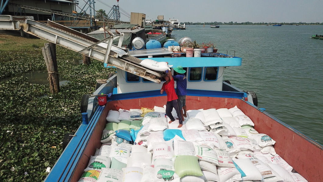 Trung Quốc, Indonesia tăng mua, gạo Việt kéo dài đà tăng giá - Ảnh: C. QUỐC