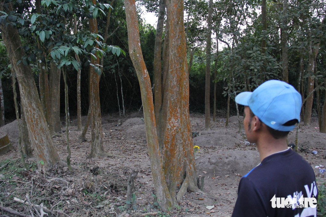 Rừng gỗ trắc độc nhất vô nhị  ở Việt Nam khi nằm ngay giữa làng, bên con đường bê tông nối các thôn xóm, người Prin Thành giữ rừng trắc bằng lệ làng - Ảnh: TRẦN MAI