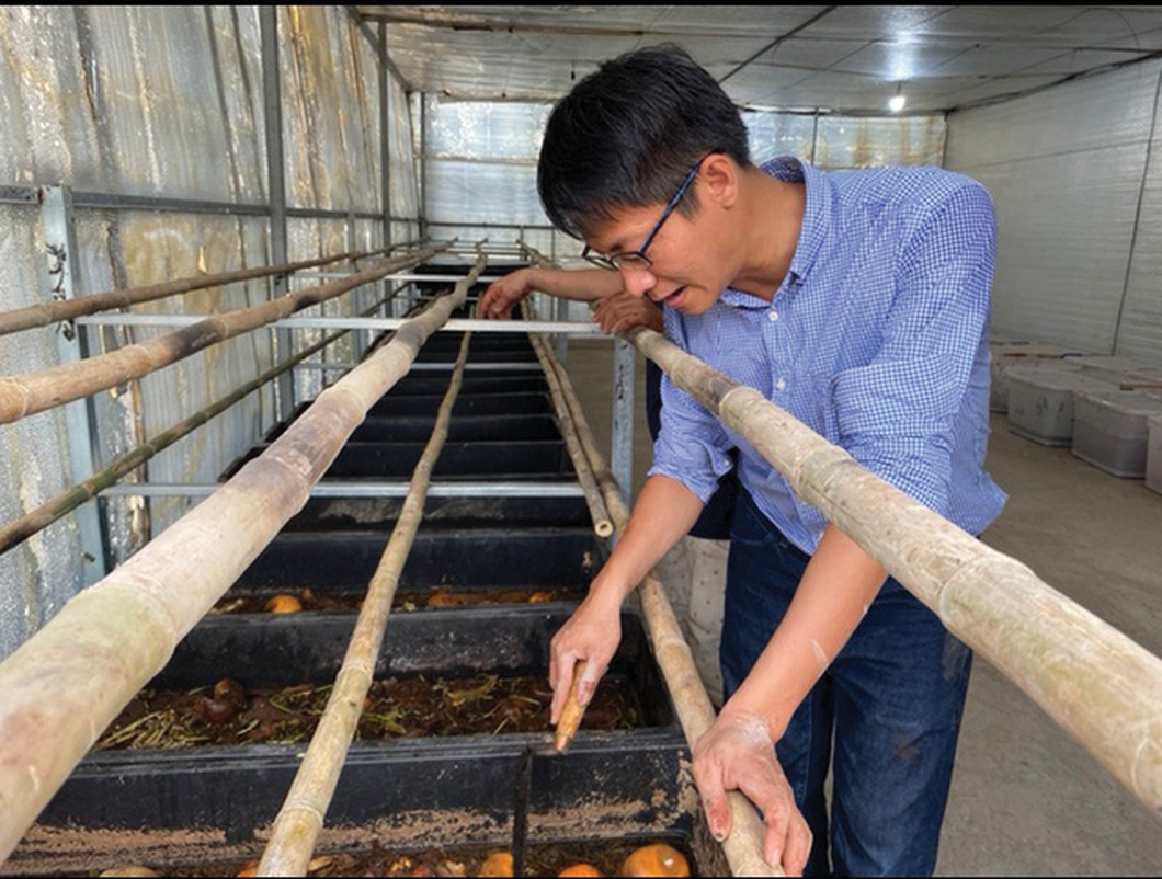 Huỳnh Hạnh Phúc kiểm tra quy trình nhân nuôi ấu trùng ruồi lính đen từ rác - Ảnh: C.NHẬT