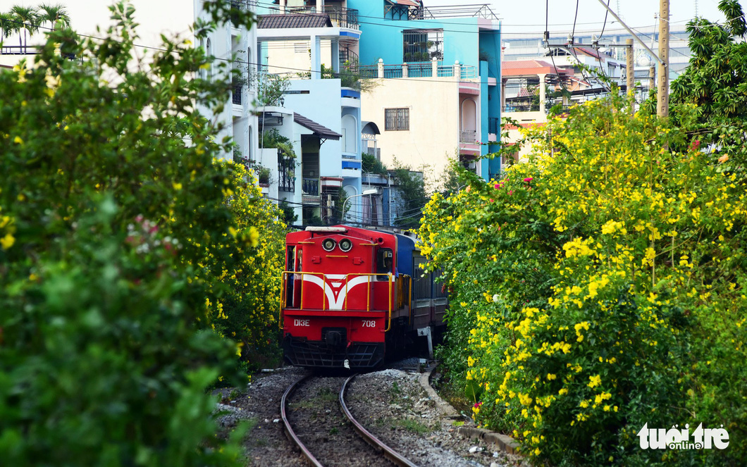 Hoa huỳnh liên rợp bóng đường ray xe lửa chiều Sài Gòn. Hoa nở vàng hai bên đường ray, khi có xe lửa đi qua tạo nên khung cảnh lãng mạn - Ảnh: DUYÊN PHAN