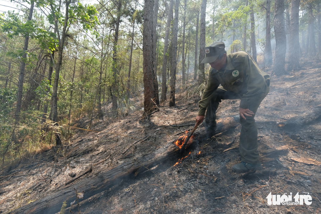 Nhân viên bảo vệ rừng dập các tàn lửa sau trận cháy 