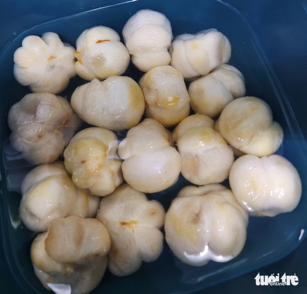 Gỏi gà măng cụt, mùa hè tai ương của gà và những trái măng cụt xanh - Ảnh 4. Gỏi gà măng cụt, mùa hè tai ương của gà và những trái măng cụt xanh - Ảnh 4.