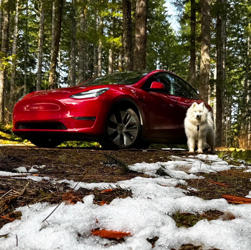 Sống trong xe Tesla: 3 tháng chỉ hết 700.000 đồng tiền điện - Ảnh 3. Sống trong xe Tesla: 3 tháng chỉ hết 700.000 đồng tiền điện - Ảnh 3.