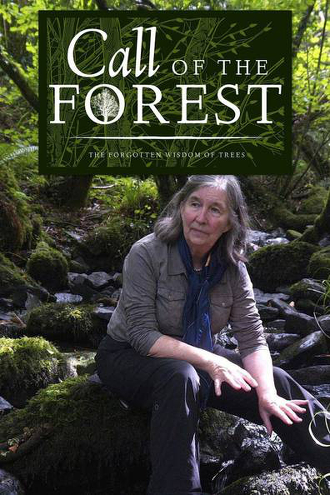 Call of the Forest: Tiếng kêu cứu của rừng xanh - Ảnh 2.