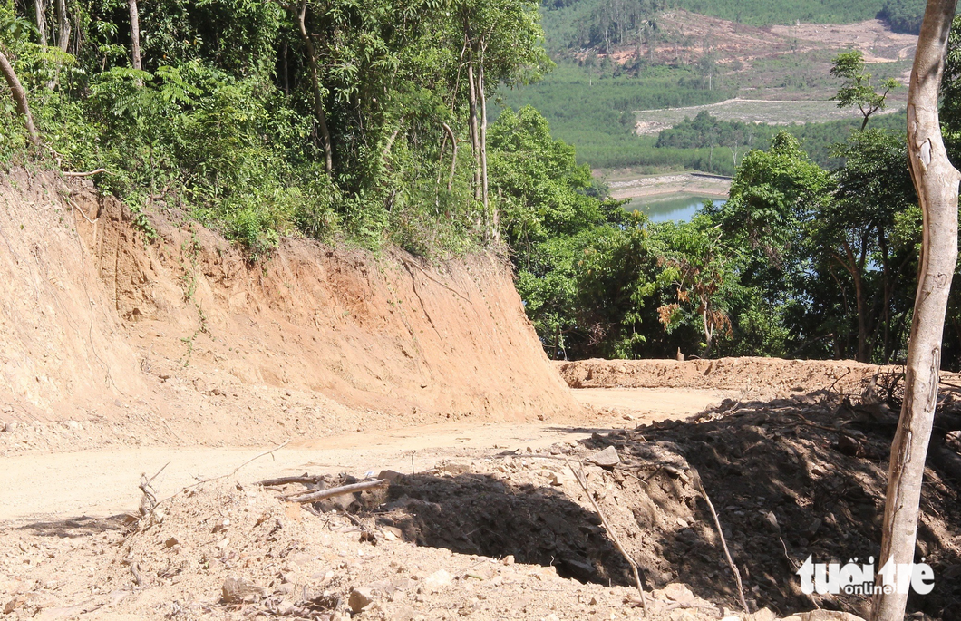 Sở NN&PTNT Quảng Ngãi báo cáo tuyến đường công vụ thi công có đi qua diện tích rừng tự nhiên ở tiểu khu 334 - Ảnh: TRẦN MAI