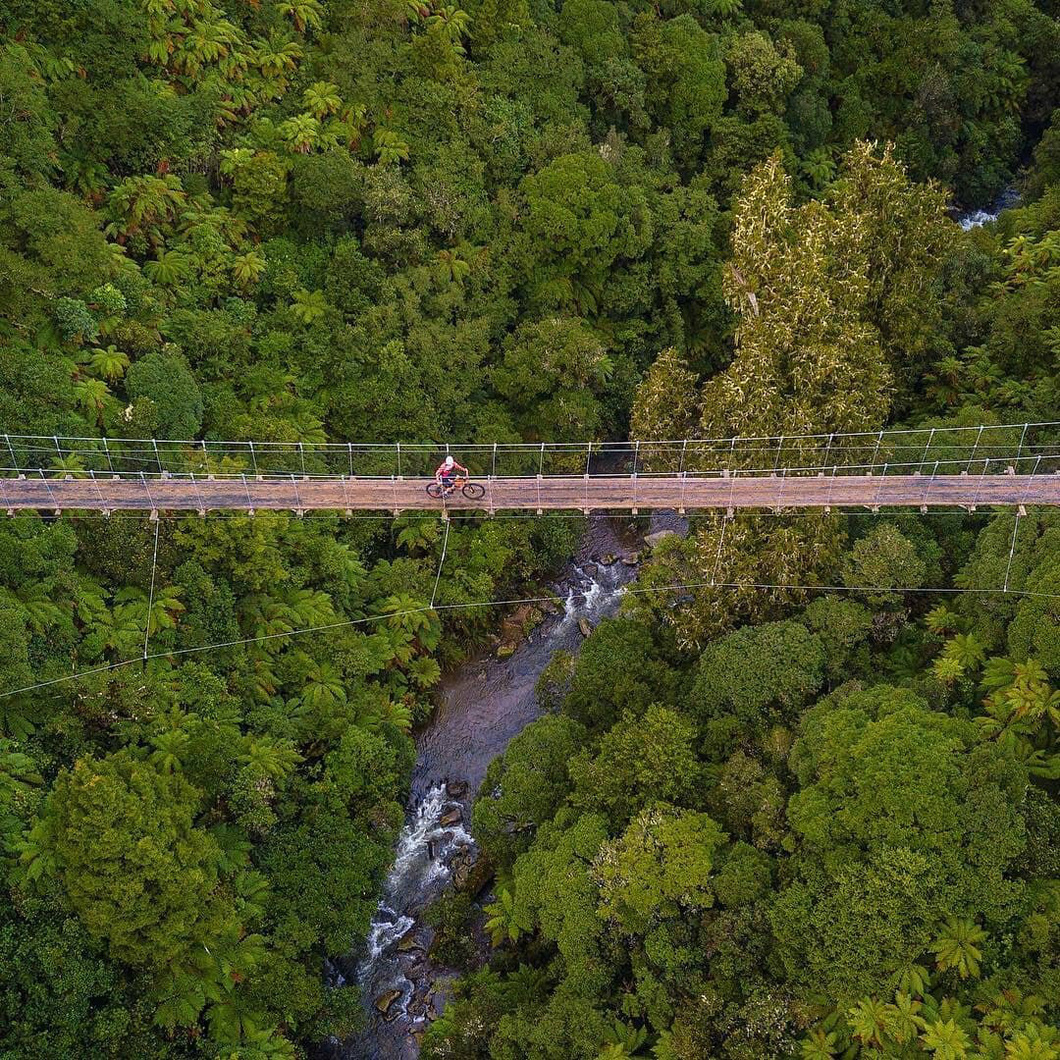 Hành trình qua đường mòn Timber có một chiếc cầu bắc qua suối, xuyên vào rừng - Ảnh: waikatonewzealand