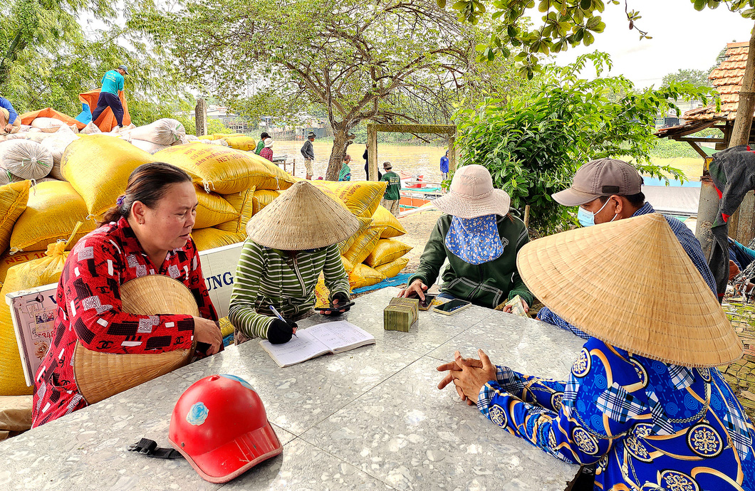 Nông dân huyện Châu Phú (An Giang) nhận tiền mua lúa từ thương lái  - Ảnh: BỬU ĐẤU