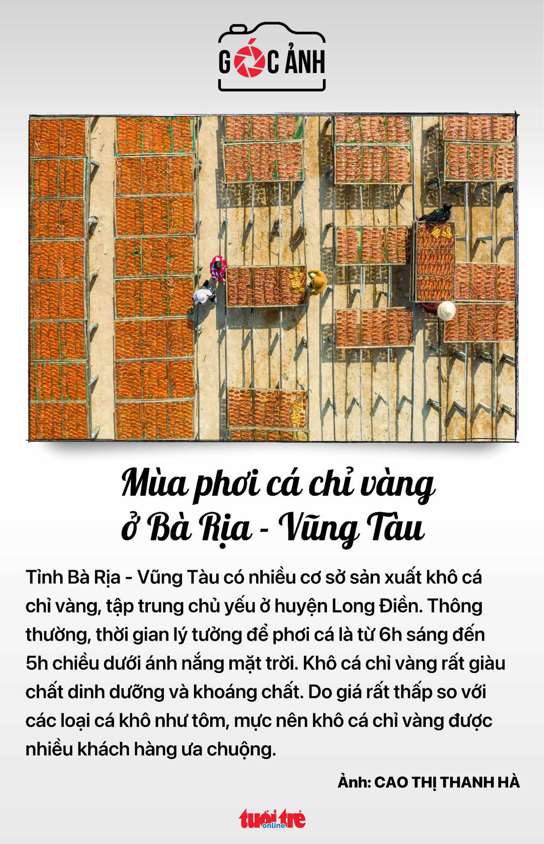 Tin tức sáng 9-7: Sau tăng lương, mức lương hưu cao nhất ở Việt Nam trên 140 triệu - Ảnh 8.