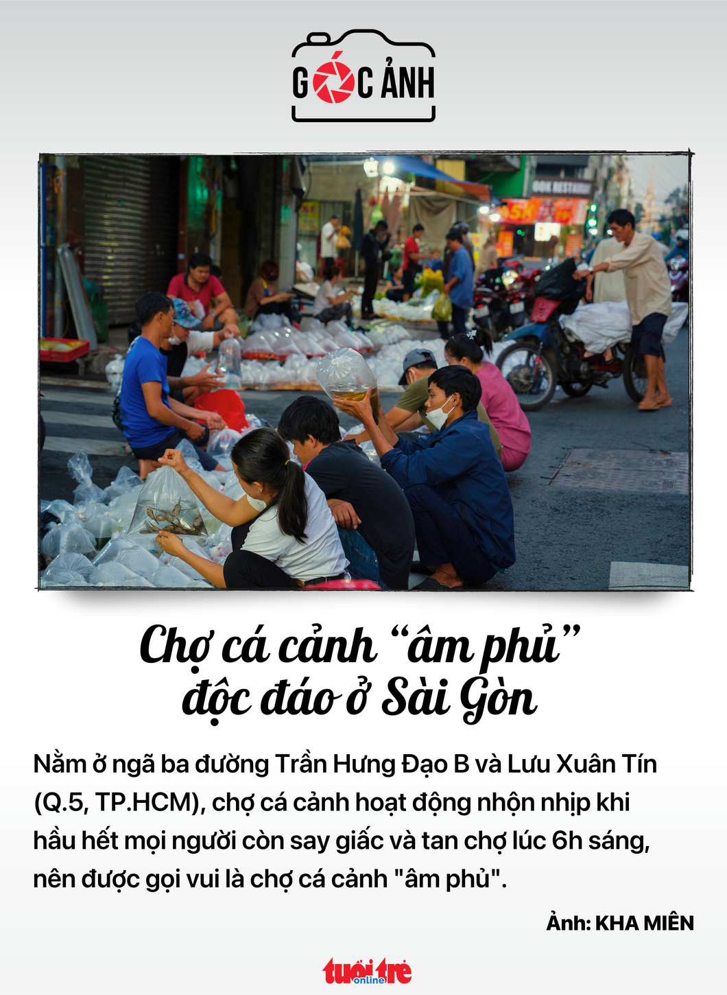 Chợ cá cảnh Sài Gòn - Ảnh: KHA MIÊN