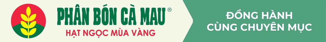 Phân bón Cà Mau giúp nông dân miền Tây tăng năng suất cây trái - Ảnh 4. Phân bón Cà Mau giúp nông dân miền Tây tăng năng suất cây trái - Ảnh 4.