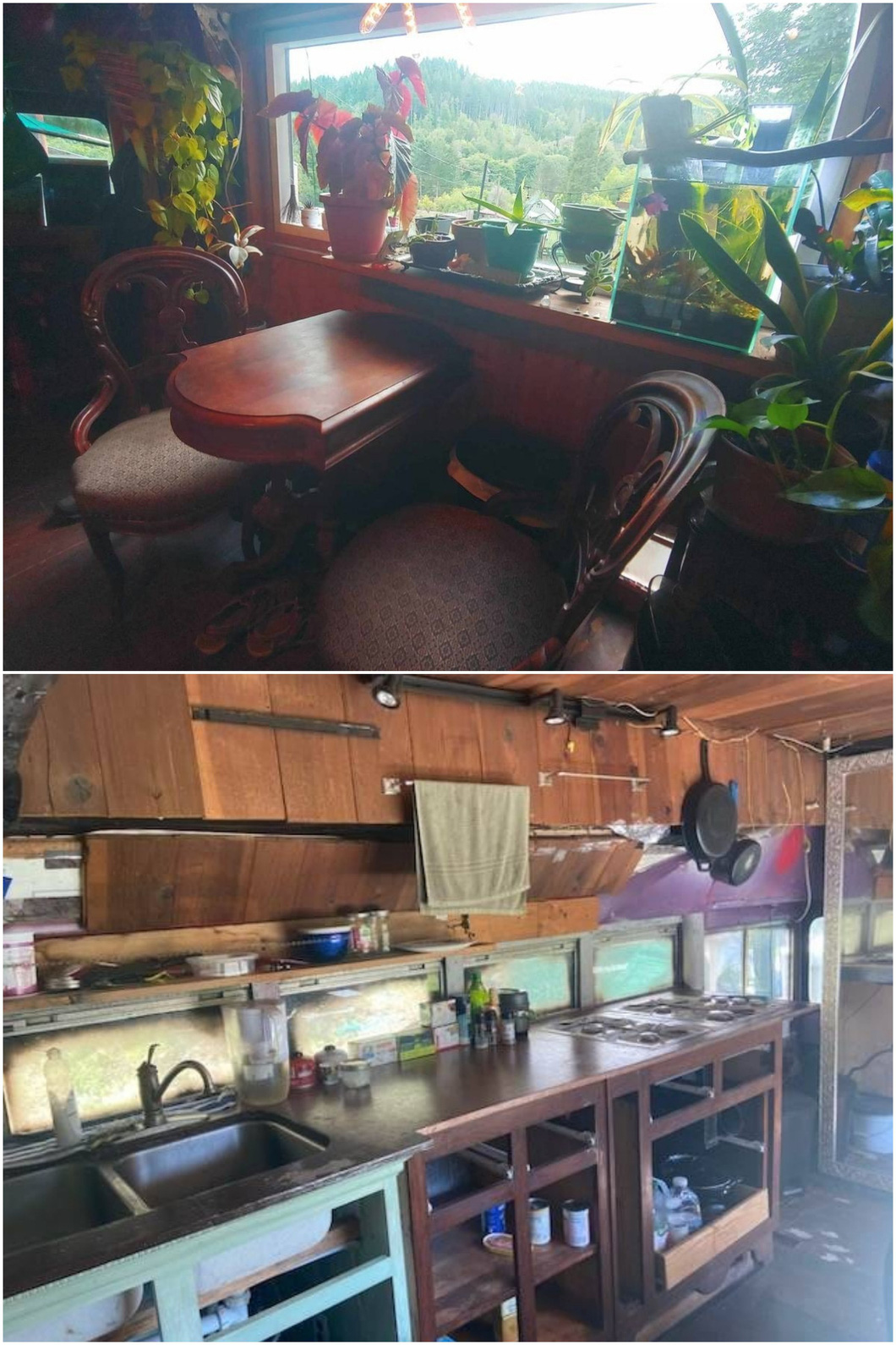 The kitchen is quite comfortable with ample stove, food preparation table, sink with electric heater.  The dining table is placed near a window with plenty of light, surrounded by lots of cool plants - Photo: Craigslist