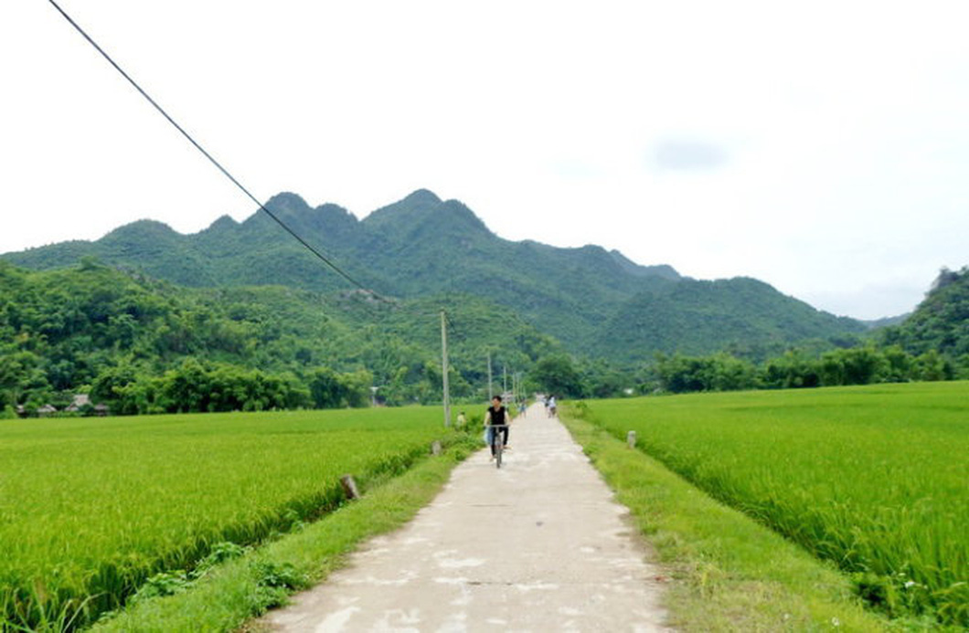 Du khách đạp xe dạo chơi khắp bản làng và thăm các cánh đồng lúa ở Mai Châu - Ảnh: H.TRANG