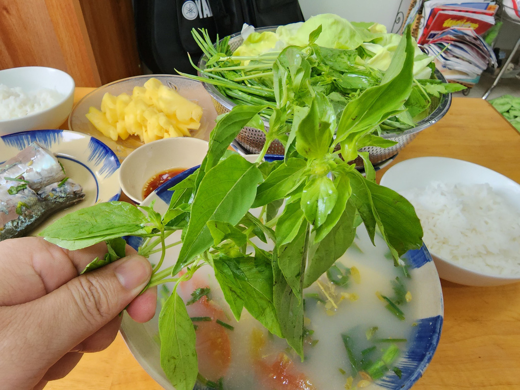 Người xứ Phan nấu canh chua thường thêm ít lá é (cây quế trắng) cho dậy hương thơm - Ảnh: SƠN LÂM