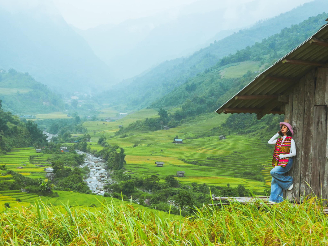 Nậm Cang là điểm đến không thể bỏ qua tại Sa Pa vào mùa lúa chín - Ảnh: GÔN RÂU