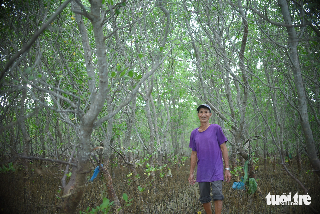 Tham quan những cánh rừng ngập mặn xanh tốt bạt ngàn trên đầm Thị Nại - Ảnh: LÂM THIÊN