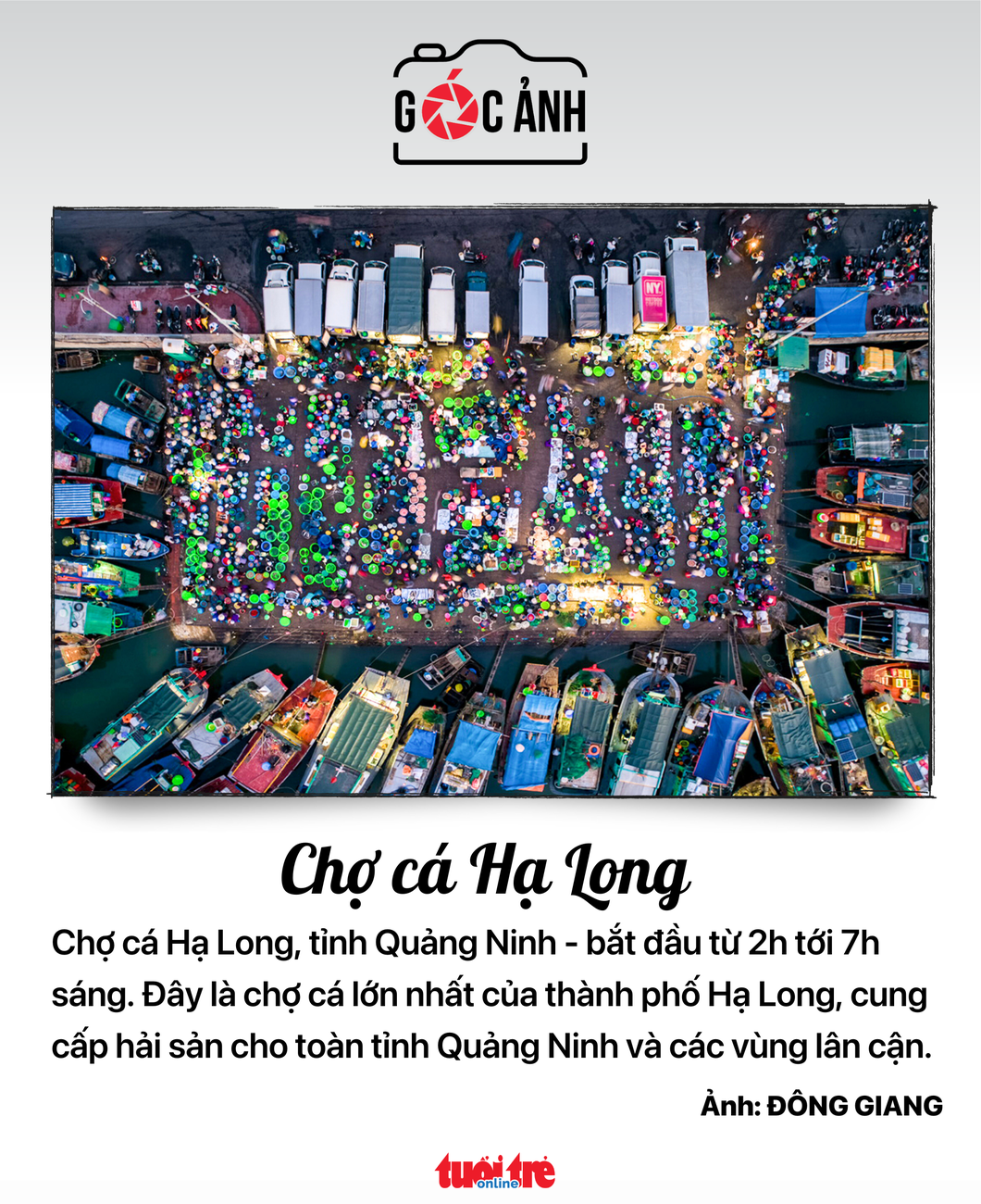 Chợ cá Hạ long - Ảnh: ĐÔNG GIANG
