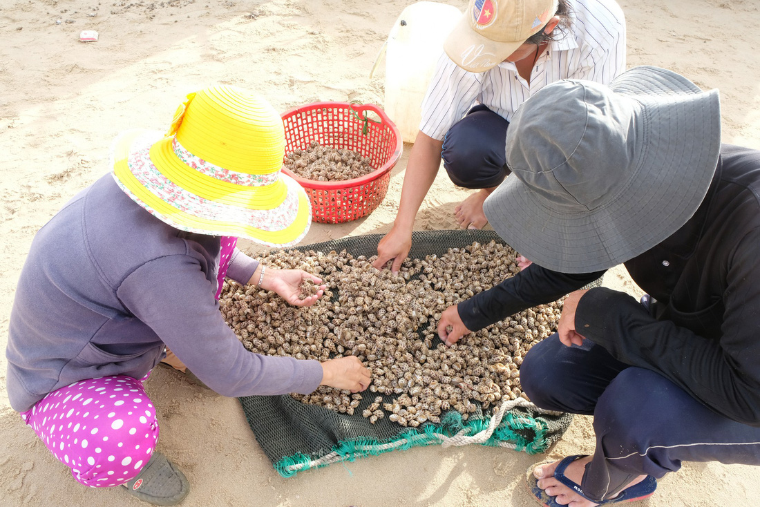 Chu du Bình Thuận với 1 triệu đồng, đến chỗ lạ, ăn món ngon - Ảnh 11.