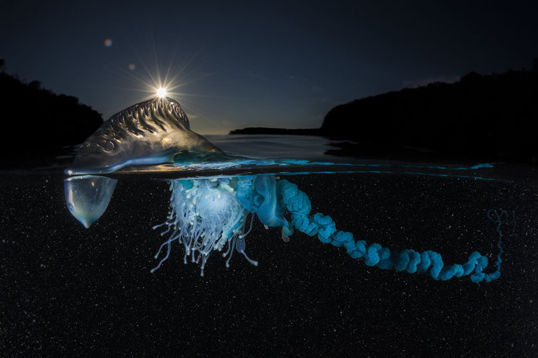 Ngắm ảnh thiên nhiên tuyệt đẹp đoạt giải của NatGeo năm 2017 - Ảnh 19.