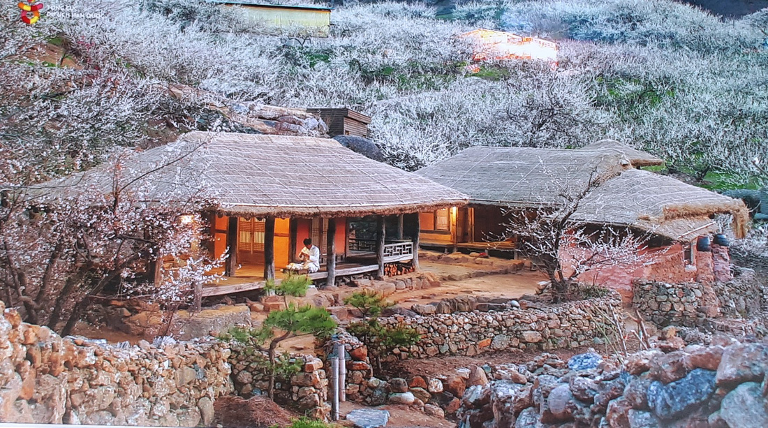 Ngắm phong cảnh Hàn Quốc tuyệt đẹp qua ảnh - Ảnh 4.