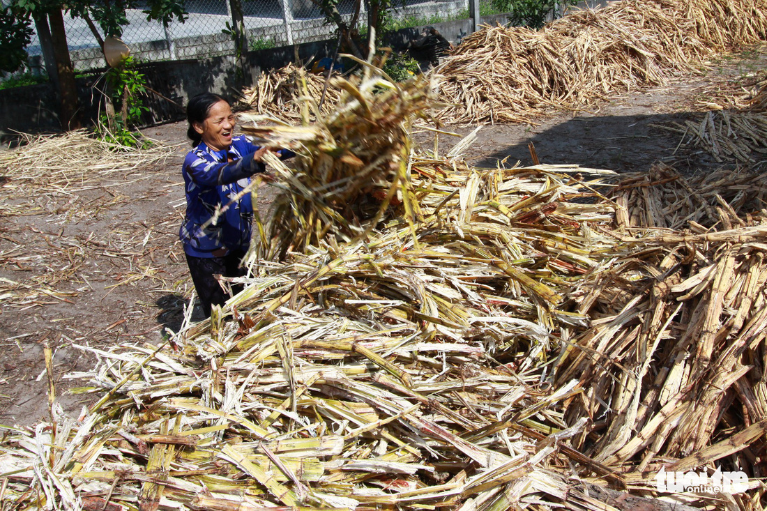 Cần mẫn chắt chiu từng giọt đường - Ảnh 4.