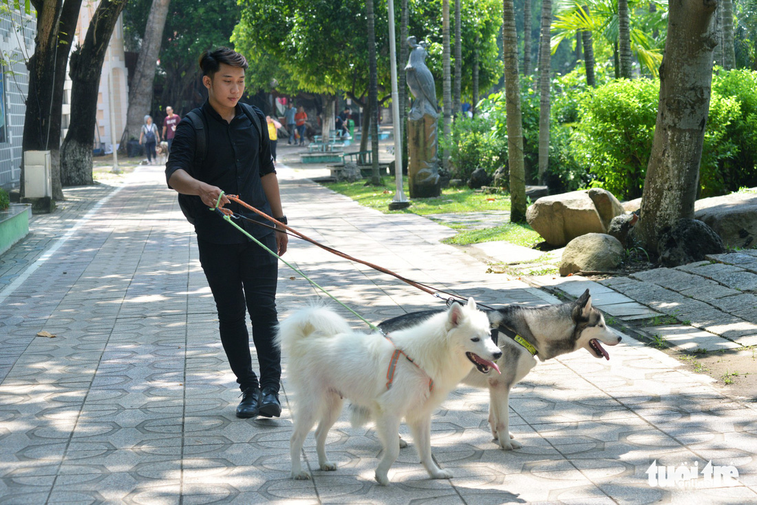 Đến lễ hội cún cưng ngắm những chú cún cực dễ thương - Ảnh 7.