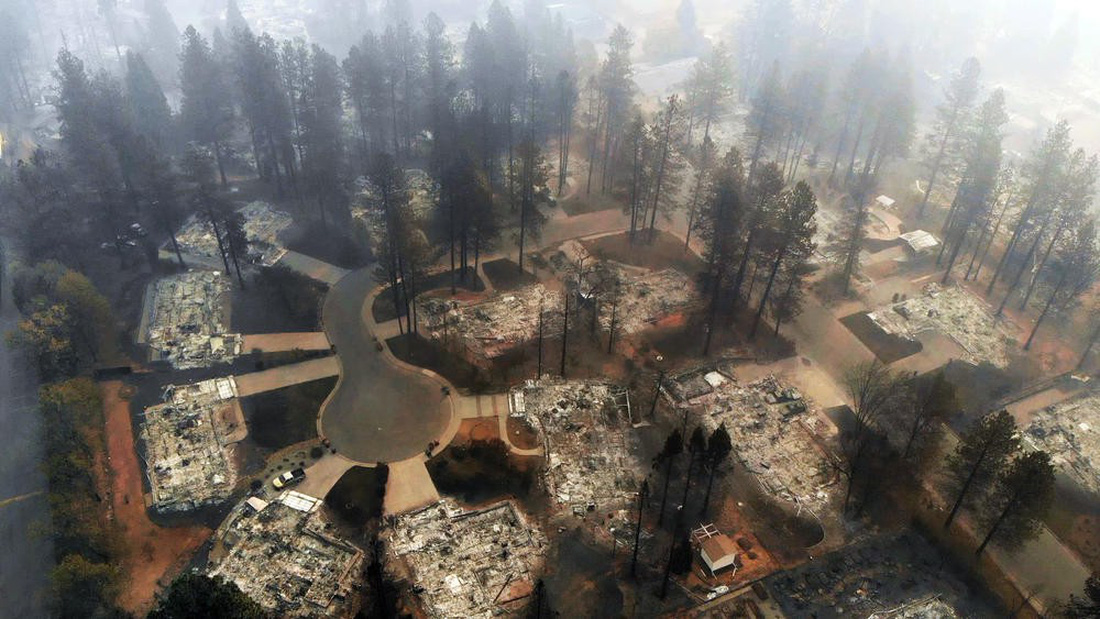 Đáng thương cảnh động vật cháy xém sau cháy rừng ở California - Ảnh 3.