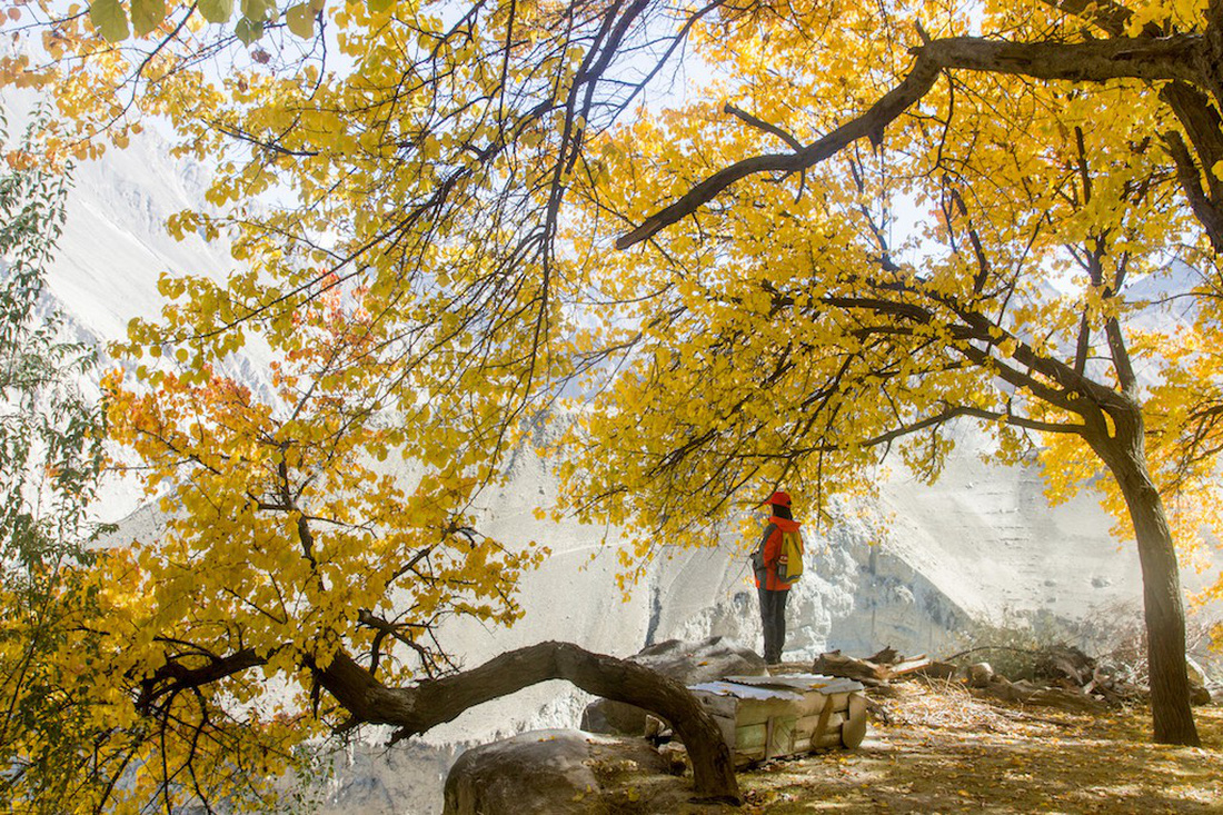 Huyền thoại mùa thu ở Hunza - miền Bắc Pakistan - Ảnh 1.