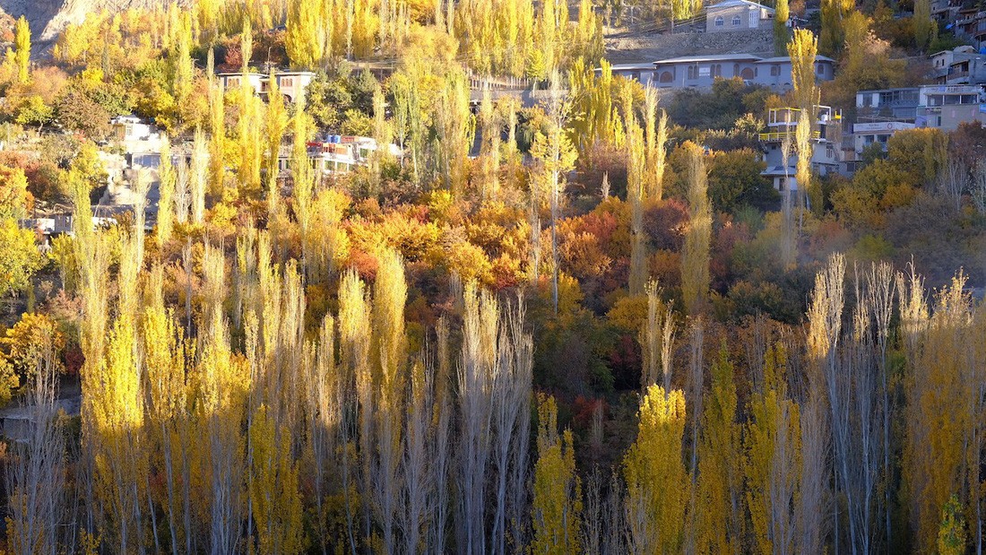 Huyền thoại mùa thu ở Hunza - miền Bắc Pakistan - Ảnh 5.